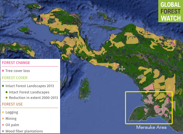 West Papua ‘oil palm atlas’ portrays industry’s explosion in region